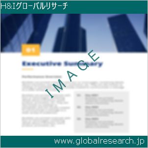 グローバルリサーチ調査レポートのイメージ